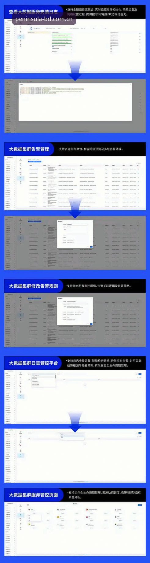 资深用户分享：半岛官方平台v2.3.0版本的使用心得与实战经验